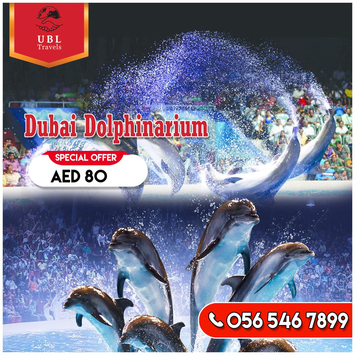 Wanna spent time with the most friendly mammals on earth?? Grab your tickets at a special offer of AED 80 and visit the Dubai dolphinarium.
ubltravels.com/ticket/meet-gr…
#mammals #dubaidolphinarium #dolphinshowdubai #lovedubaidolphinarium #ubltravels