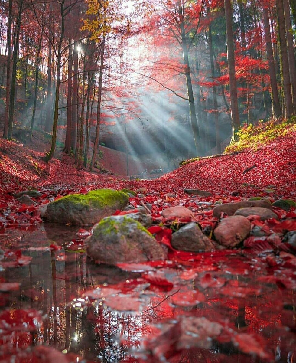 good morning friends. have a fantastic friday 💐💐