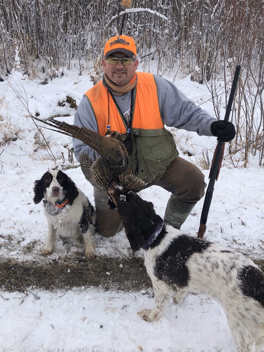 Thanksgiving day rooster with Dan Lindsey, Remi &amp; Benelli, thankful we’ve got something for dinner!