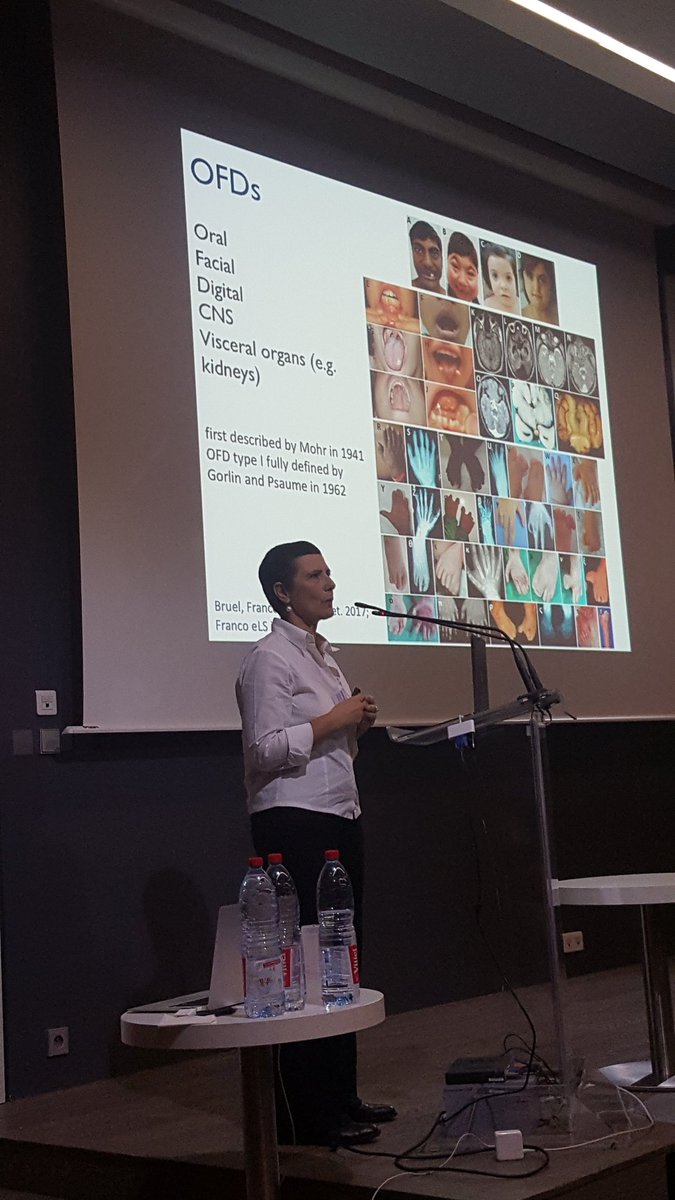 Cilia2019's tweet photo. And closing #Cilia2019 amazing talk by Brunella Franco on OFD1, a rare #ciliopathy https://t.co/Um5tQfeDfP