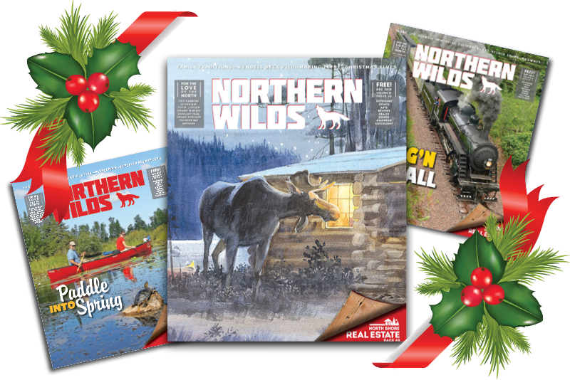 Northern Wilds tweet media