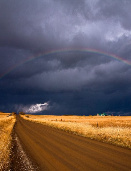 you are my small cloud
and i need you in my sky....                                  💙☁️💙