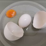 初見の人多数!？卵の中から卵が出てくる二重卵!