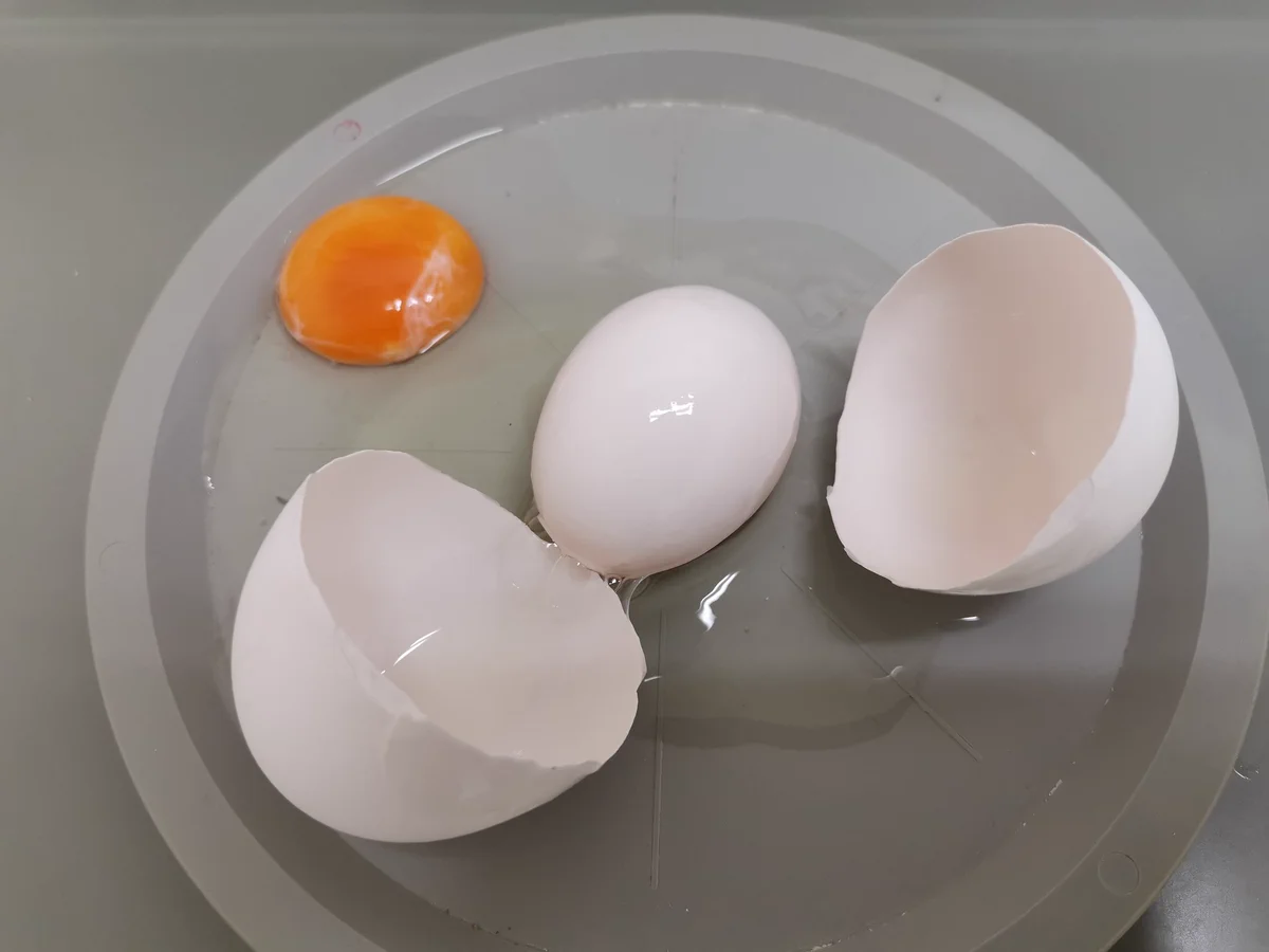 初見の人多数！？卵の中から卵が出てくる二重卵！
