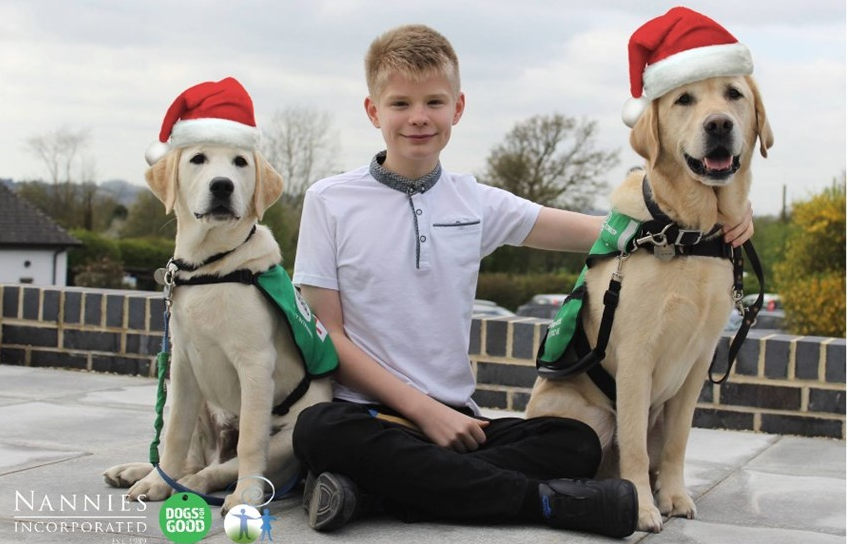 NanniesInc's tweet photo. This Christmas Nannies Incorporated, in association with @destinyofachild, is raising funds for @DogsForGoodUK - a charity that makes life-changing differences to children with autism and disabilities.

Donate at the link below to help this amazing cause!

https://t.co/ku3pgCIPBJ https://t.co/3ywZWTFqTu