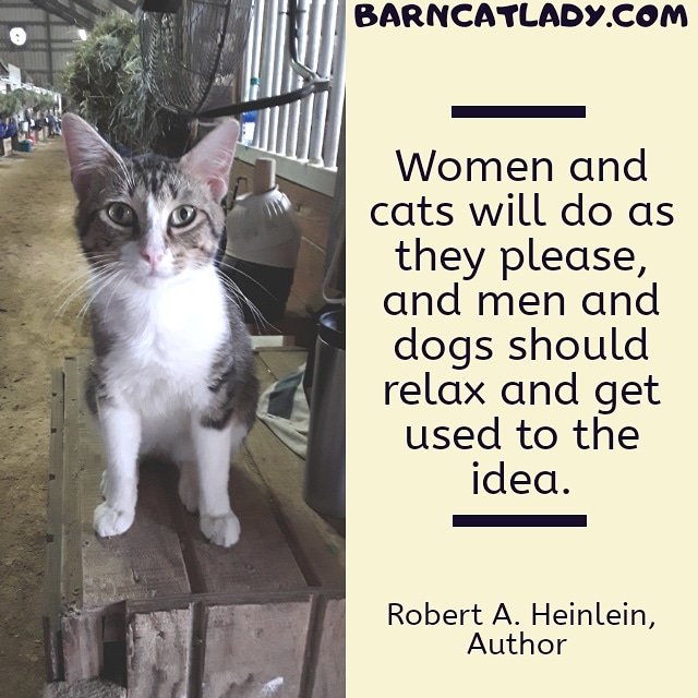 barncatlady's tweet photo. Cat Quote!
#barncatlady #barncats #barncatsofinstagram #cats #catsofinstagram #catstagram #catquotes #quotes #kittyquotes https://t.co/jQ30MNTPJx