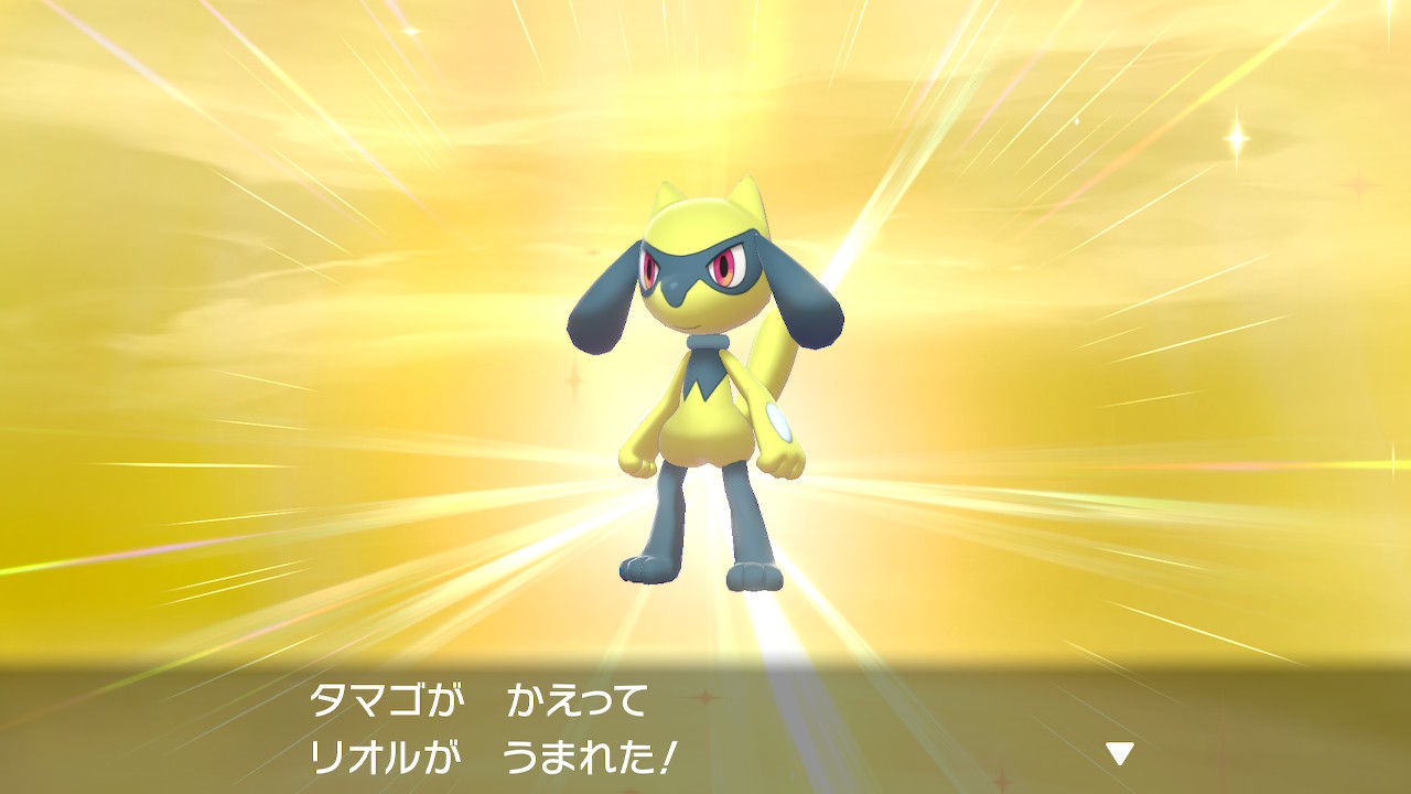 フレイル 国際孵化で色違いリオル出たー 夢特性外さなくて良かった ポケモン剣盾 Nintendoswitch T Co Oufkxr2xom Twitter フレイル 国際孵化で色違いリオル出たー 夢特性外さなくて良かった ポケモン剣盾 Nintendoswitch T Co Oufkxr2xom Twitter