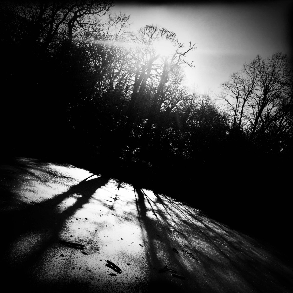 New single 'Thylacine' is out today! Thank you to my amazing compadres @gavinjay on bass, #JimMacaulay on drums, Stu Macaulay at <a href="/OX4Sound/">OX4 Sound</a>, and <a href="/danurchin/">Dan Cox</a> at @urchinstudios 

Listen here:

SPOTIFY bit.ly/SuzieStapleton…

BANDCAMP
suziestapleton.bandcamp.com/track/thylacine

#NowPlaying #NOWFriday