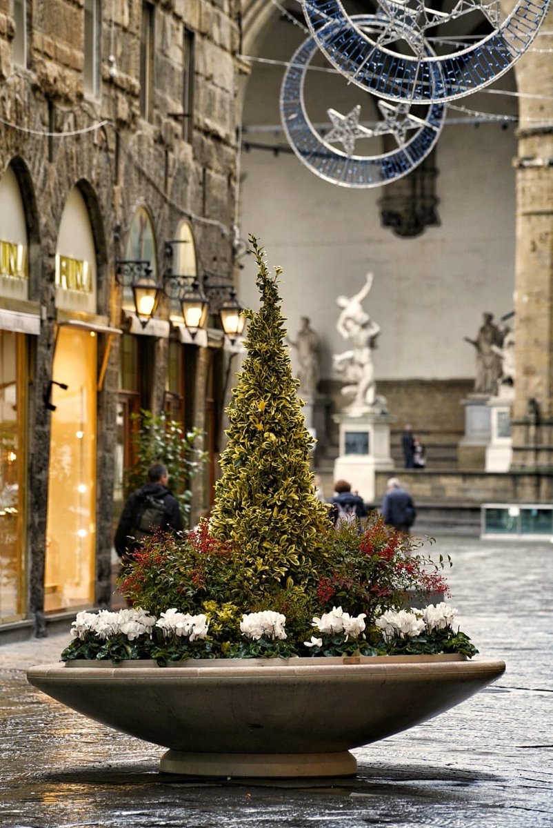 DarioNardella's tweet photo. Addio ai cubi di calcestruzzo antisfondamento, in #ViaCalzaiuoli abbiamo installato 8 nuove fioriere che tengono insieme decoro, verde e sicurezza. #piccolecose per una Firenze sempre più curata e vivibile. https://t.co/2xYqVnqzoJ
