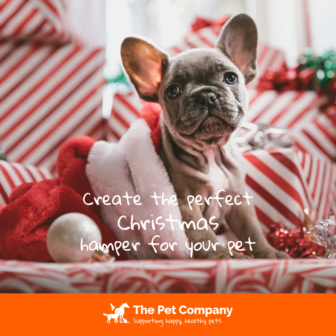 New blog is up on our website! All about creating the perfect Christmas hamper for your pet 🎄ow.ly/JxDc50xnI4x