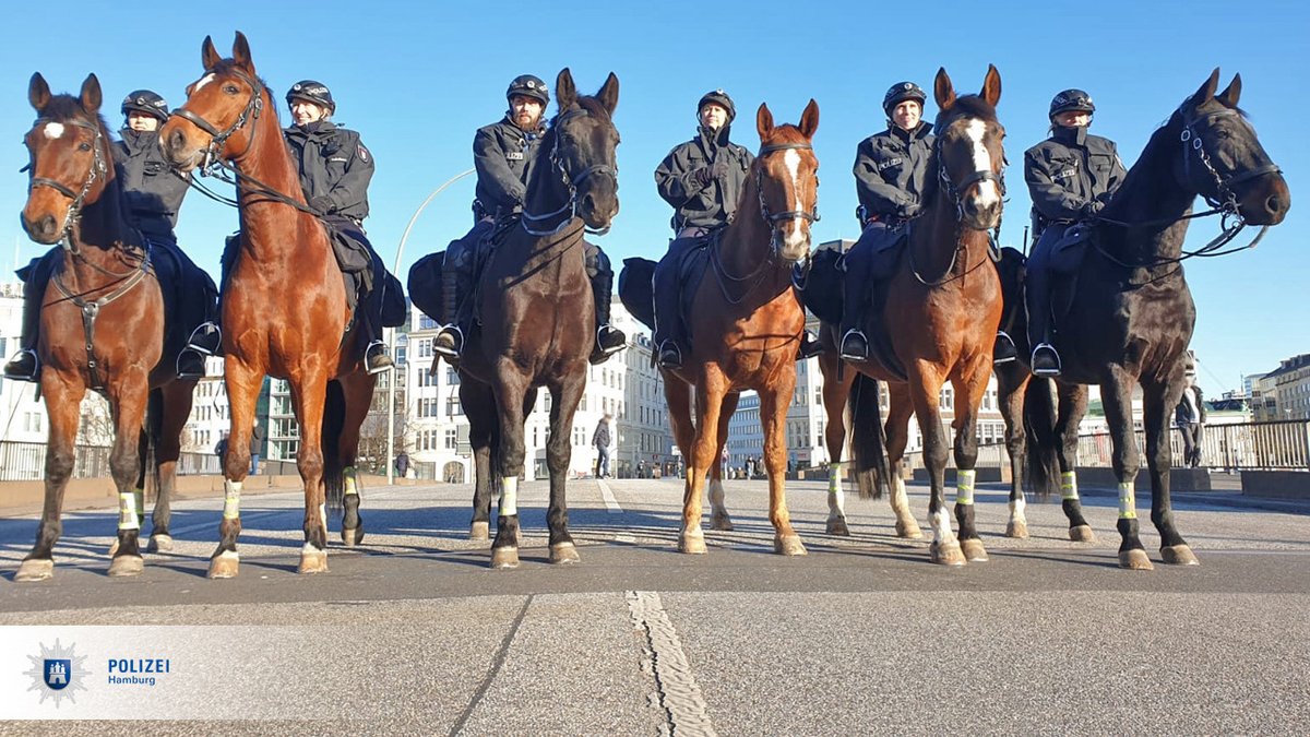 PolizeiHamburg's tweet photo. Die Spitze des Aufzugs hat die Kaiser-Wilhelm-Straße erreicht.
Wir sind zum Teil unmotorisiert, gleichwohl mit mehreren PS, im Einsatz.
#fffhh https://t.co/eTSjkXIDdN