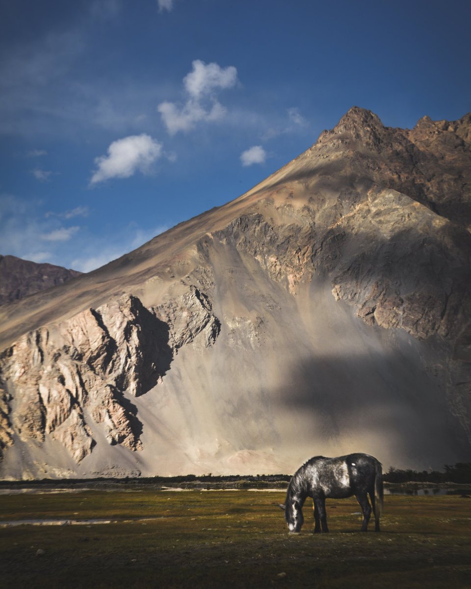 himalayanraven's tweet photo. Nubra Valley, Ladakh.
Checkout my channel-https://t.co/0O5wrSMLmf
Blog-https://t.co/ZI1OmMhbV3
.
#travel #ThePhotoHour #StormHour #ladakh #photography #photographer #Nikon #nikonphotography #landscape #landscapephotography #leh https://t.co/lOLTPK9cKn