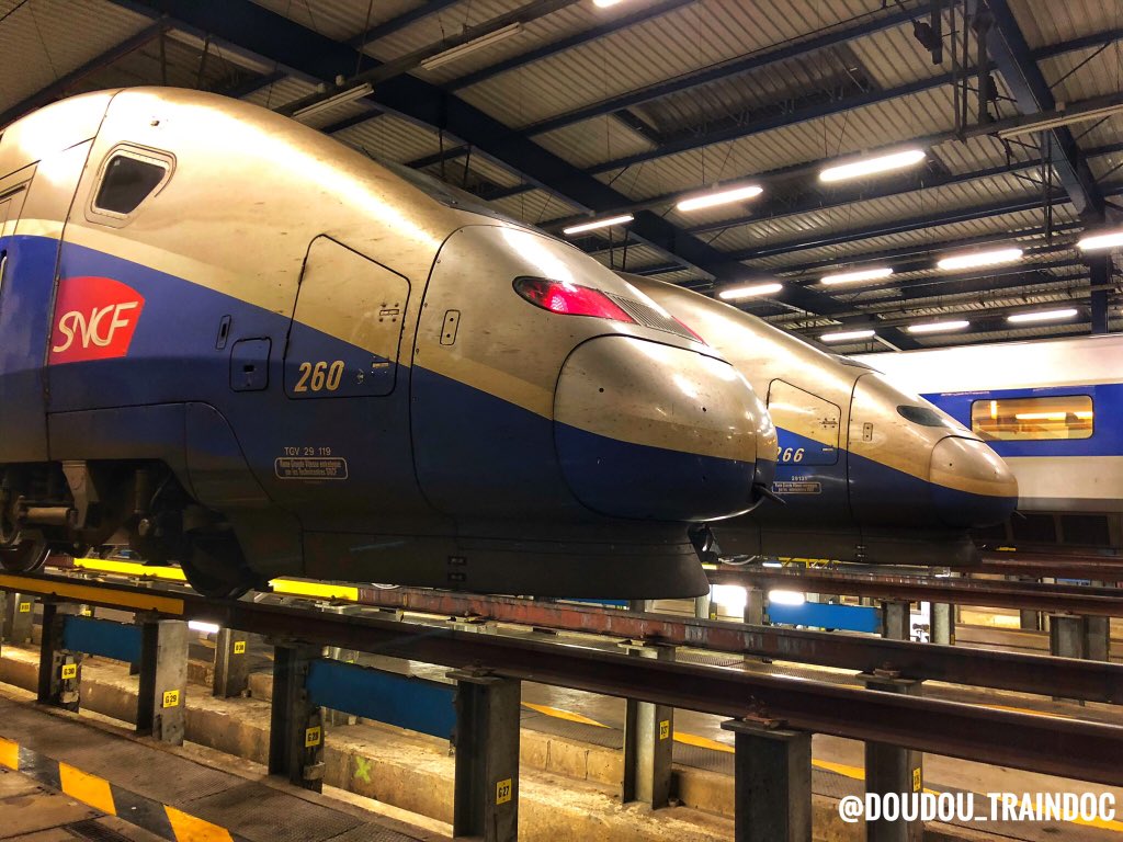 Après avoir rempli un questionnaire très précis peu après ce train spécial, le verdict côté passager est sans appel, le TGV Duplex est une réussite technique. La SNCF commande alors au total 89 rames de ce type à Alstom sur une durée de 11 ans ! 