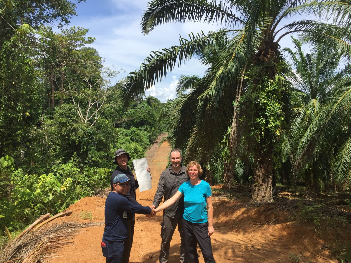 SabahRhino's tweet photo. New rainforest conservation initiative converts oil palm plantations into rainforest for the first time
https://t.co/1UwQ4oX0B9…/neue-regenwaldschutzin… https://t.co/746aQ7vTwV