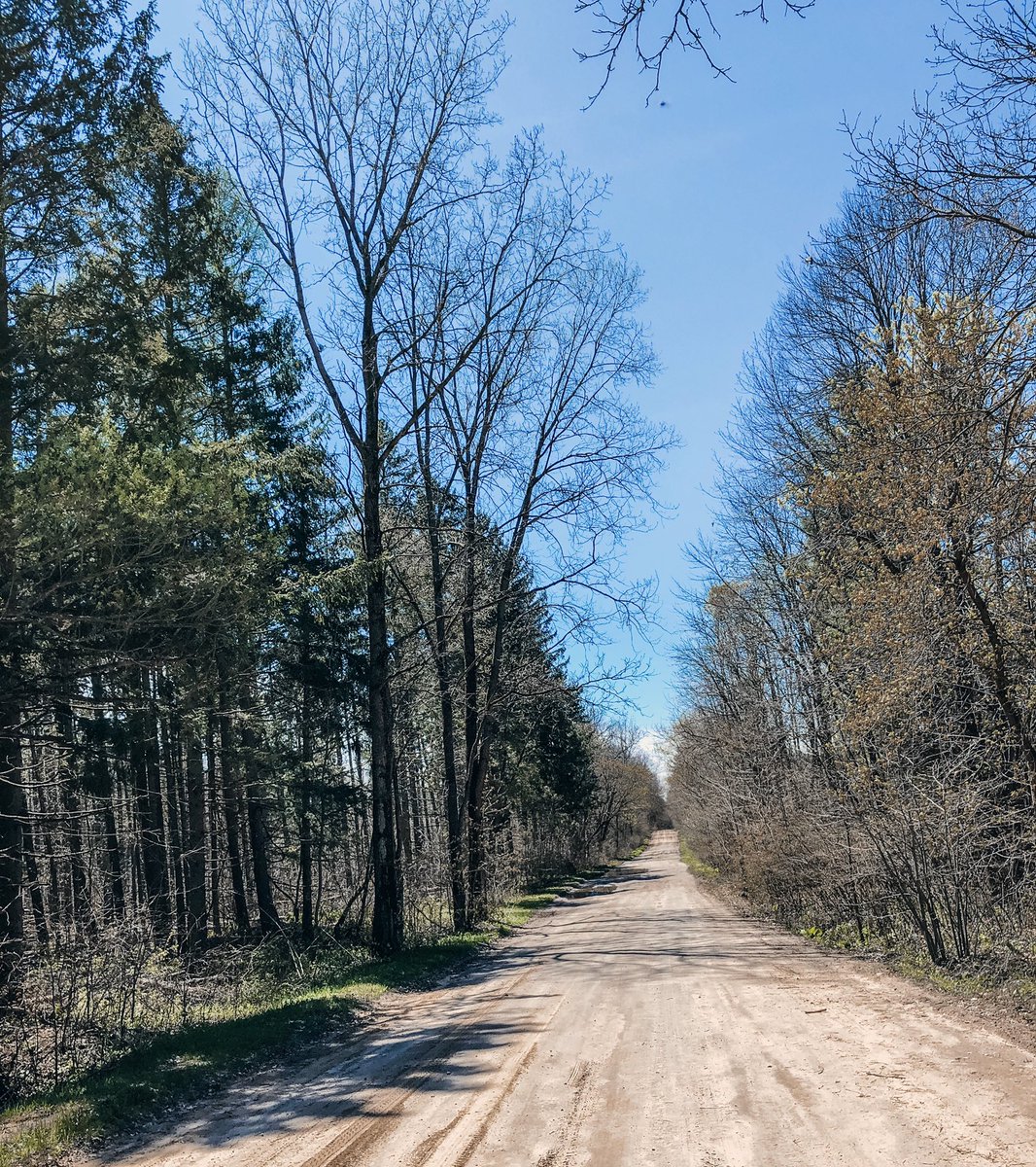 Black Friday or Green Friday? Will you be chasing down the deals or embracing nature’s bounty outdoors today? #blackfriday #getoutdoors #nature #conservation