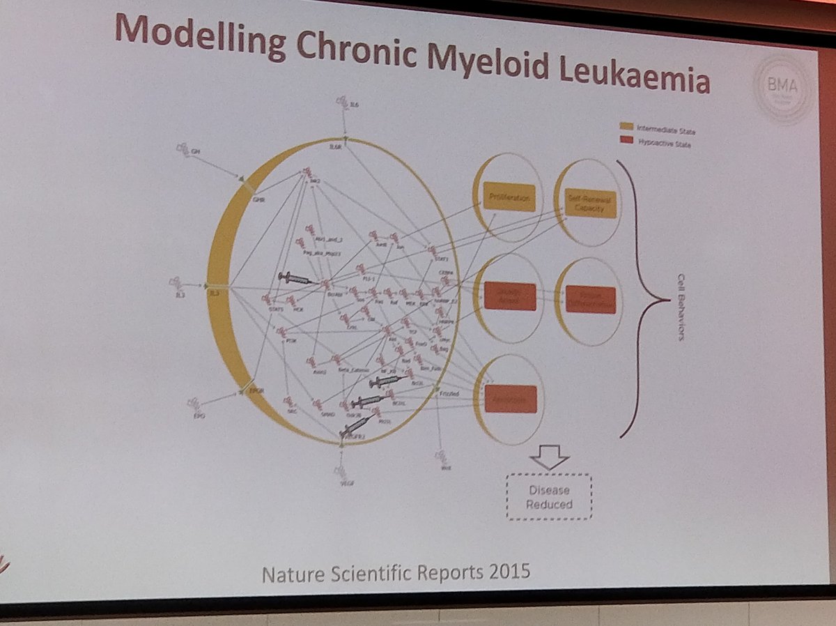 UCLTRO's tweet image. Here, Jasmine Fisher describes the use of an open source modelling tool to understand the effect of therapies on disease pathways. @uclcancer @CRUKLondon #computationaltools #BioModelAnalyzer