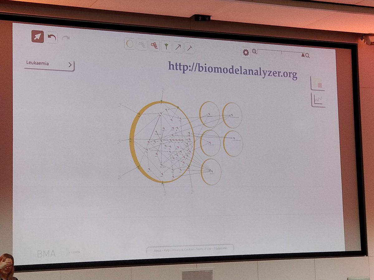 UCLTRO's tweet image. Here, Jasmine Fisher describes the use of an open source modelling tool to understand the effect of therapies on disease pathways. @uclcancer @CRUKLondon #computationaltools #BioModelAnalyzer