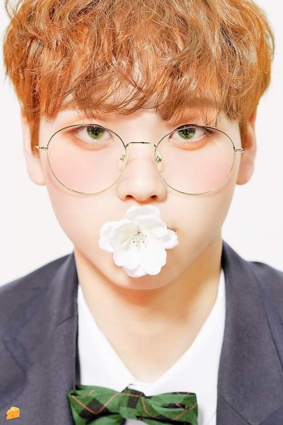 AmiAnh3's tweet photo. 형준아~ 생일축하해요💛🍋
#나의비타민_형준아_생일죽하해 #형준 #Hyeongjun_Poodle_Day #HappyHyeongJunDay #HYEONGJUN @x1members https://t.co/7gShgQlVTb
