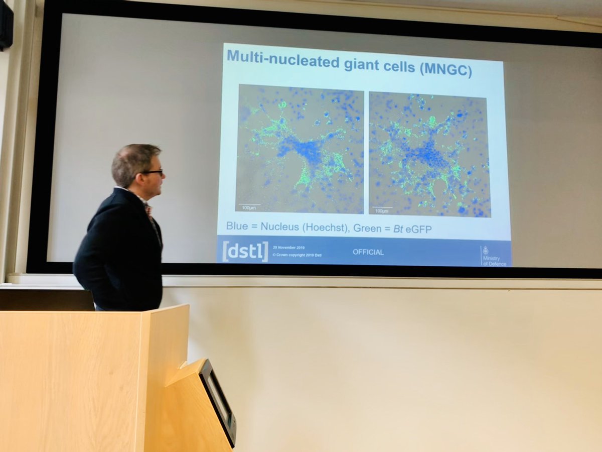 antodg16's tweet image. Absolute brilliant talk by Dr Dominic Jenner from @dstlmod for our @BioSemSoton series!
Very interesting science for a very interested audience 🦠🔬 @uos_bioengsci @MiNaTherGroup