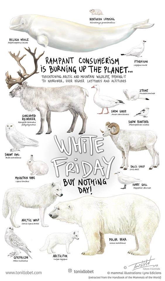 MuseosCant's tweet image. Hoy desde los museos os pedimos que hagamos entre todos un consumo #responsable para cuidar un planeta con recursos #finitos. 🌍💚 vía @CentinelasCW