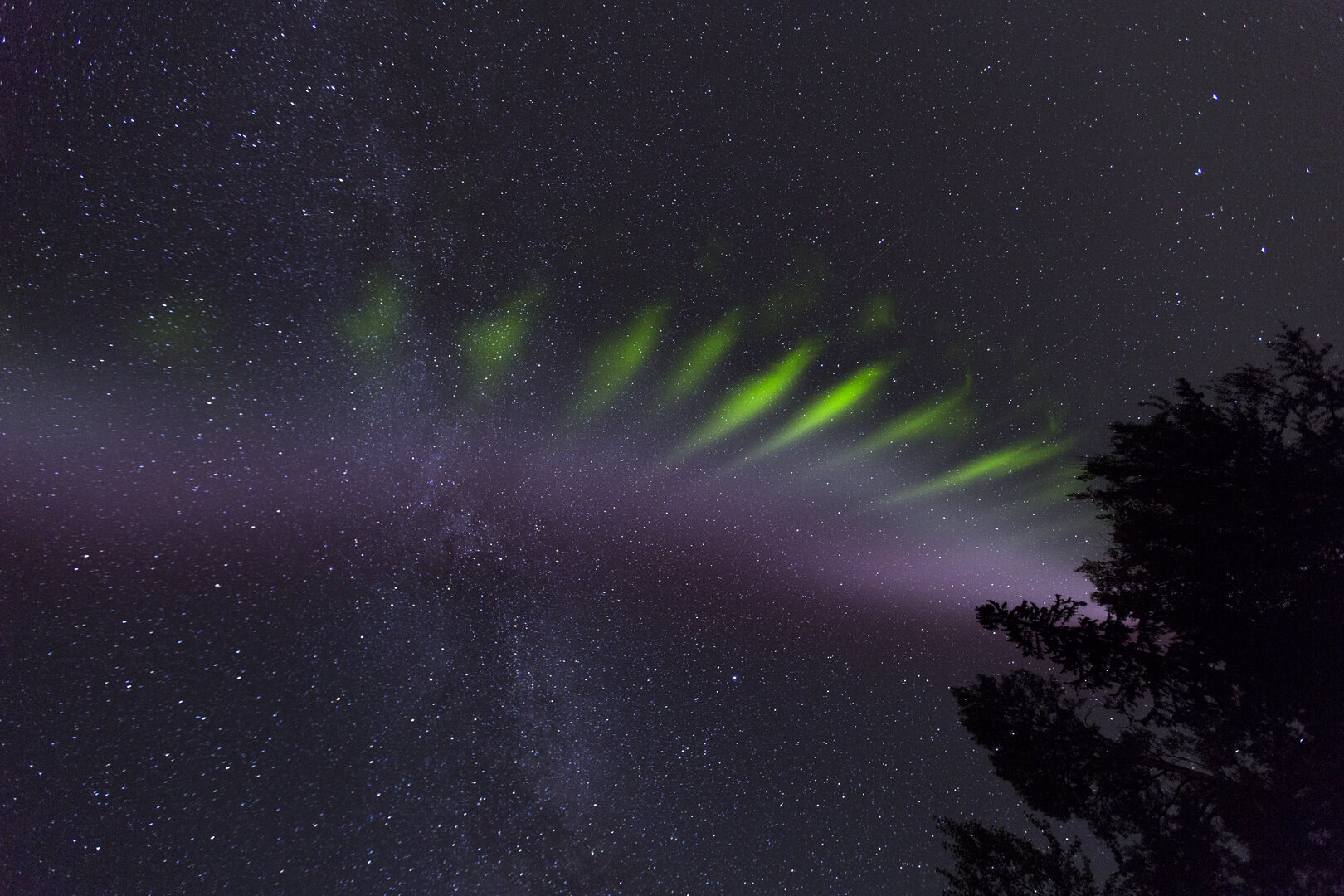 ゆきまさかずよし Esa スティーブ と呼ばれる極地の空の発光現象 オーロラとは異なる 紫色 に伴って現れる ピケットフェンス 柵状の緑色 の関係 T Co Arorehjlan オーロラウォッチャーや衛星監視などにより 光ってる高度などの解明が進んできた