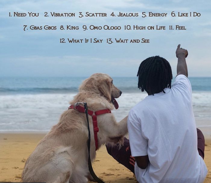 Rosanation3's tweet photo. [Full Album Download] Fireboy DML – Laughter, Tears &amp; Goosebumps https://t.co/gJOZwji2Hj https://t.co/ch22Ajdslo