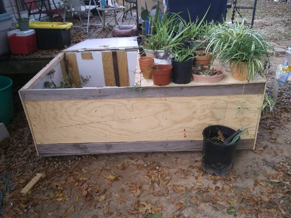 Bhall1996's tweet image. Created a cold frame for my plants. Hopefully they stay warm for the winter! I need to find some glass or plexiglass for the doors. What do y’all think? #coldframe #diy #plants #botany