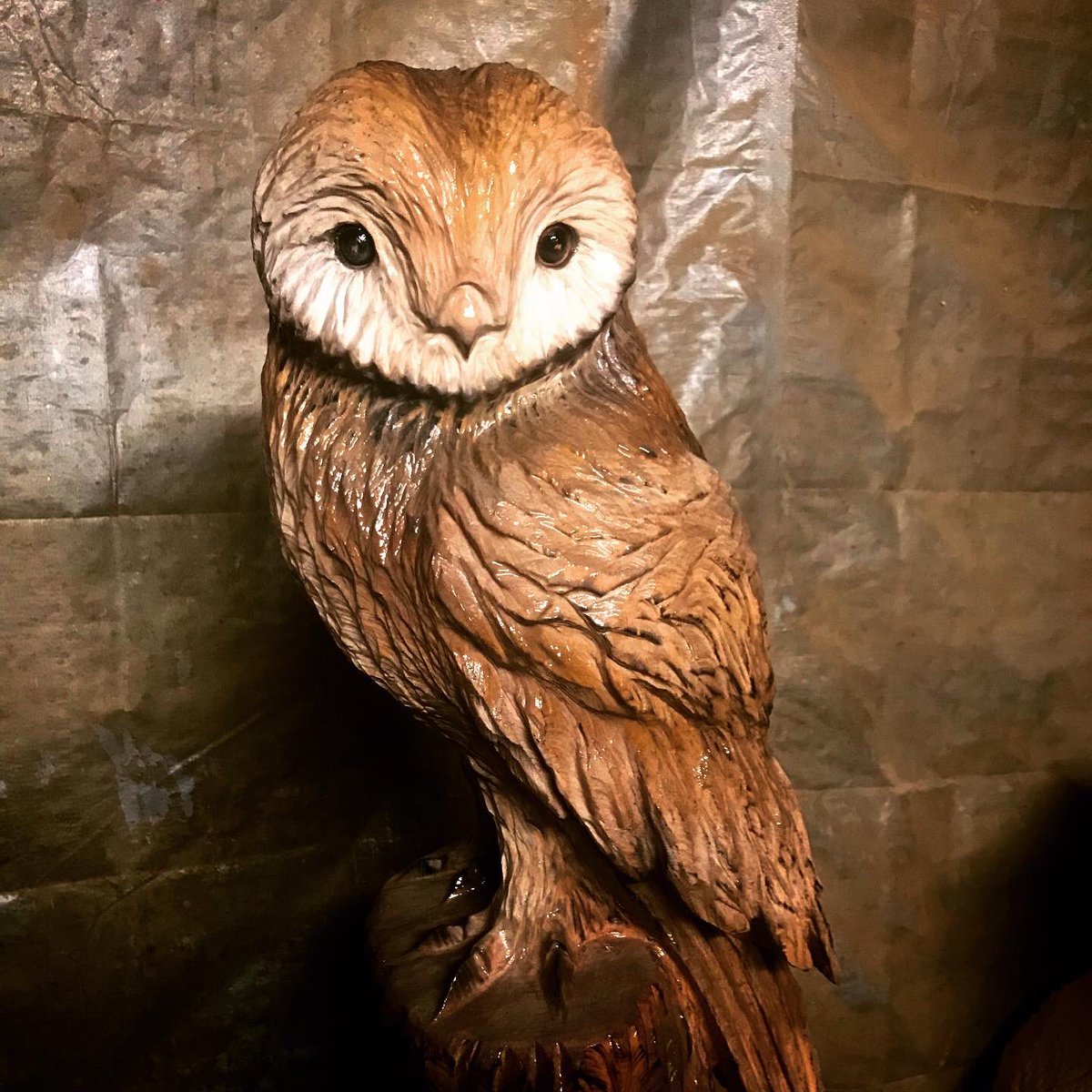 Andy Burgess tweet media