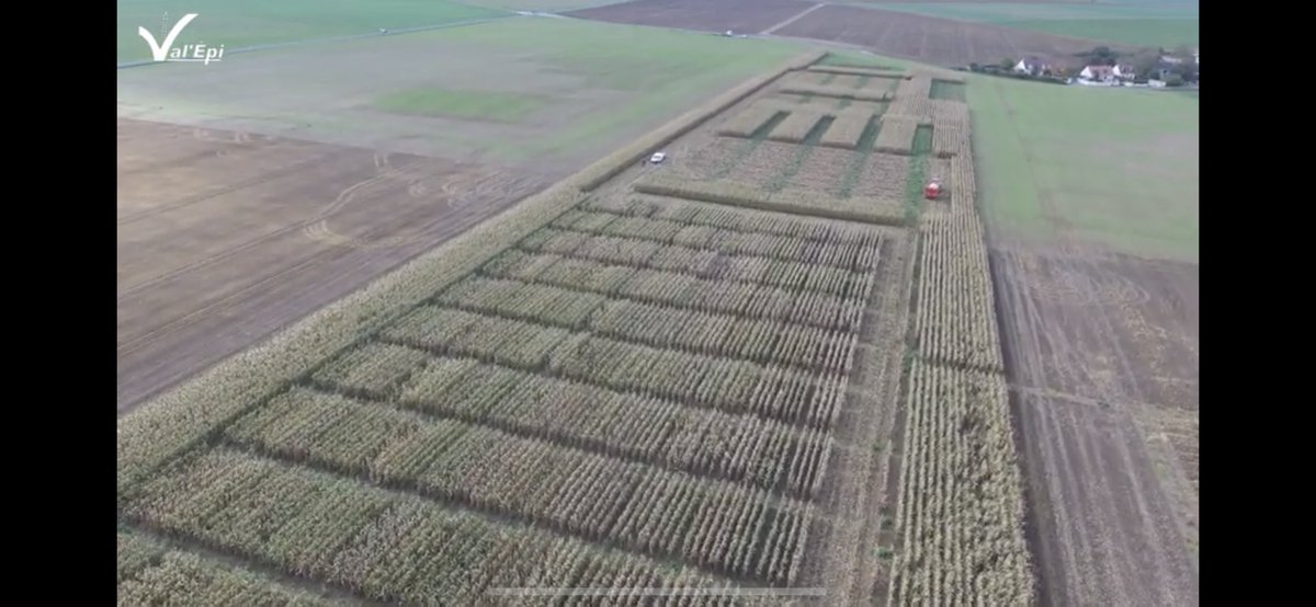 val_epi's tweet photo. La campagne 2019 se termine avec les derniers arrachages de betteraves 🚜
C’est l’occasion de revenir avec cette petite vidéo sur le contenu de près de 90 essais mis en place cette année pour nos agriculteurs ! 🎬 
Cliquez sur le lien et montez le son 😉👍 https://t.co/KGnC2jUJxx https://t.co/HbugYkOmN5