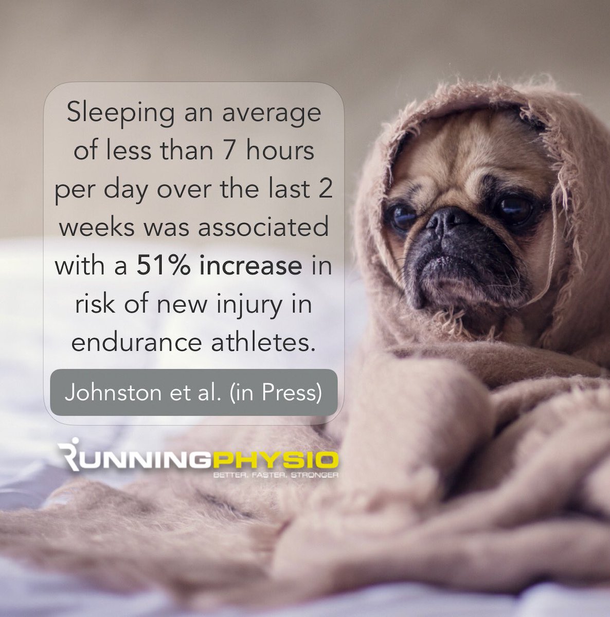 tomgoom's tweet image. Torn between these 2 images for Instagram... what would you go for? Pug or person? 🤔