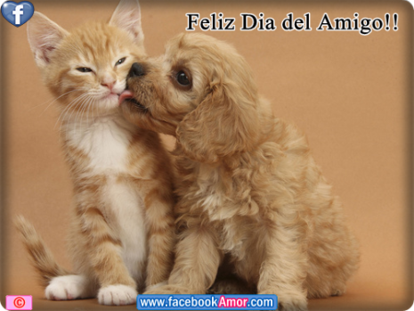 sinfomty's tweet photo. #FelizViernes https://t.co/wLbPCXvlBC