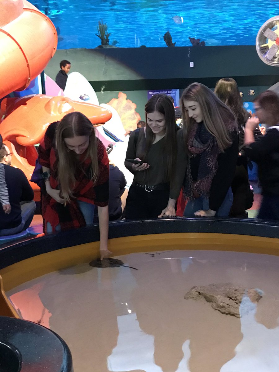 Hastings-Prince Edward International Students. Ripley’s Aquarium Adventures. <a href="/isp_hpe/">HPE International</a> <a href="/eastsideravens/">Eastside Ravens</a>
