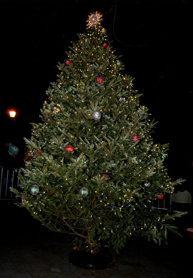 brooklynspec's tweet photo. It’s time to get lit . . . with the holiday spirit!
https://t.co/LeWx8XChmd https://t.co/kwBzmjmNRM