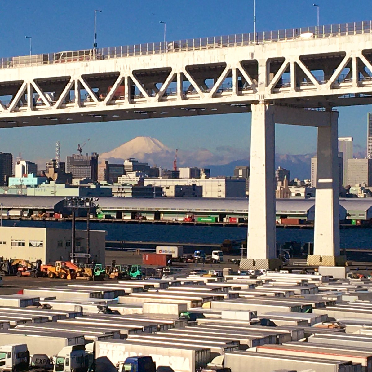 今朝は船から富士山見えた。