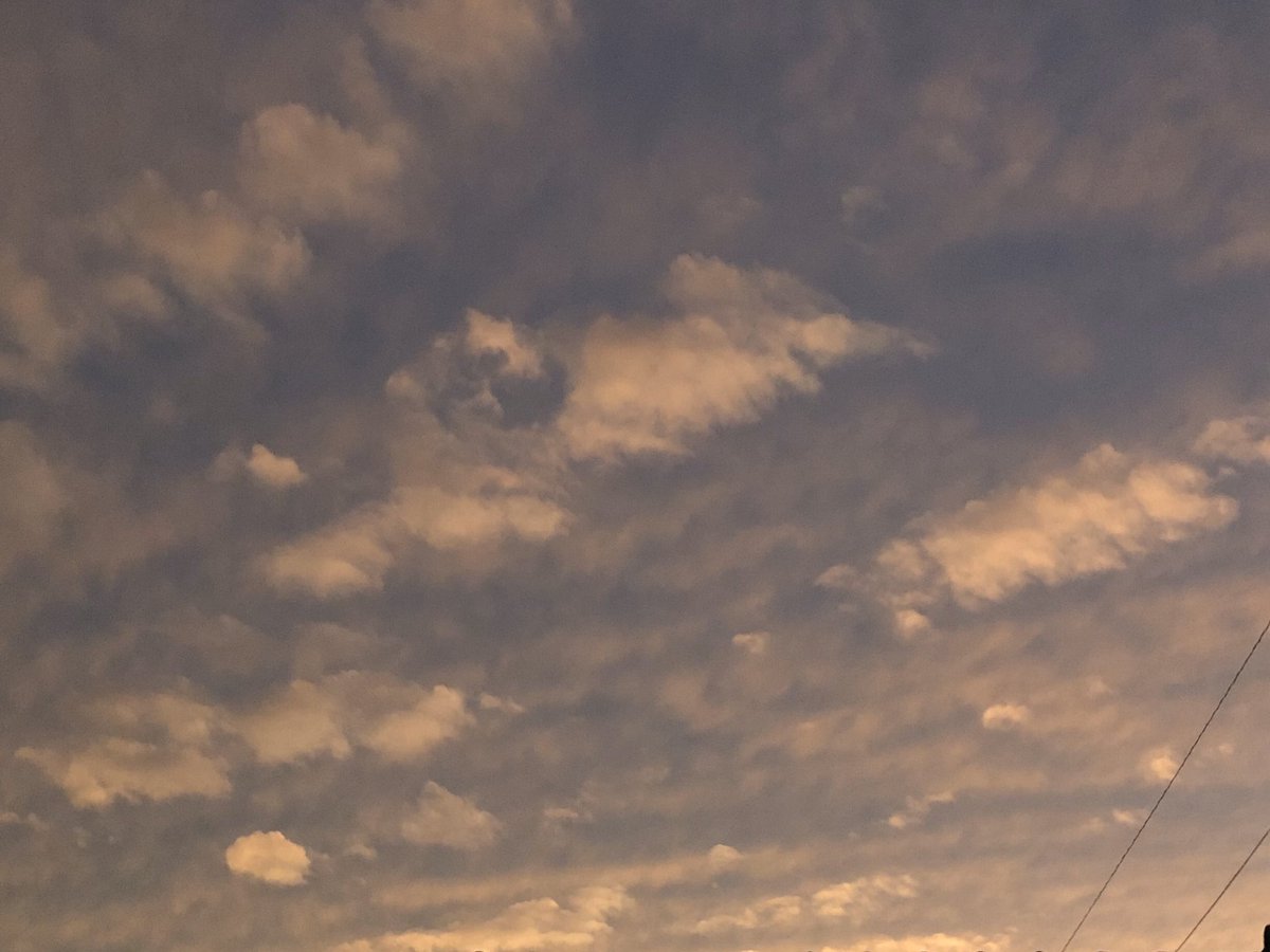 bt__suga's tweet photo. 💖윤기 

☁️03line

💖同･他◎

☁️和歌山

💖安定が欲しい🥺💖

#防弾少年団
 #BTS
 #armyさんと猛烈に絡みたい https://t.co/Om3FloSOMZ