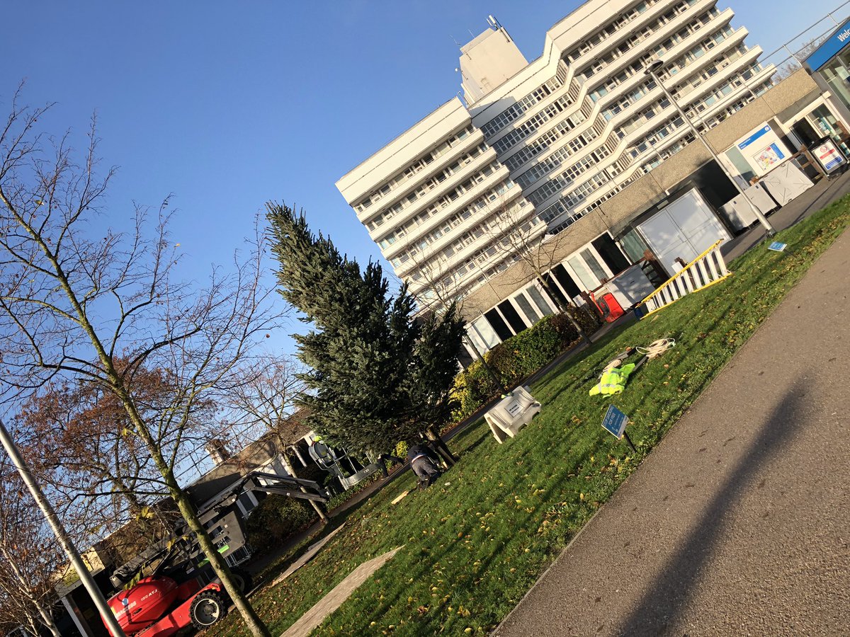 You know it’s almost Christmas time when the @enherts Xmas tree is going up. Woth the #staffawards tonight and the most imperfect perfect week, it’s a pretty good Friday!! #FridayFeeling @ENHHCharity good luck to all the incredible staff nominated tonight!