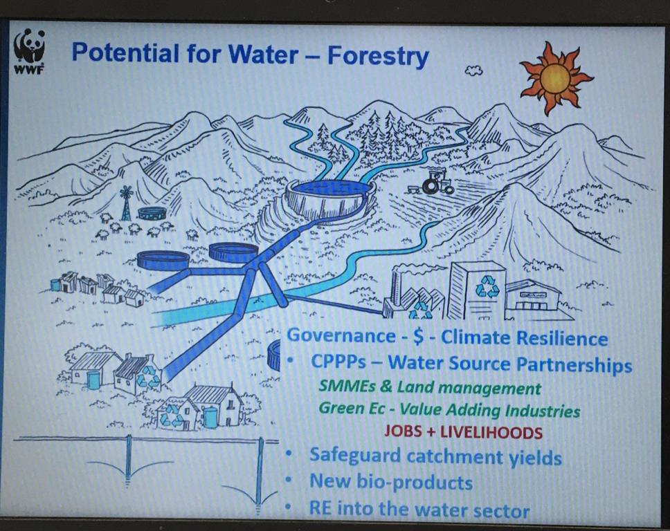 "We are trying to address the governance crisis in  #WaterSourceAreas through  #WaterSourcePartnerships"  #WaterMasterPlan  #CollectiveAction  #EcologicalInfrastructure  #WaterStewardship  #SharedValue  #SharedBenefits