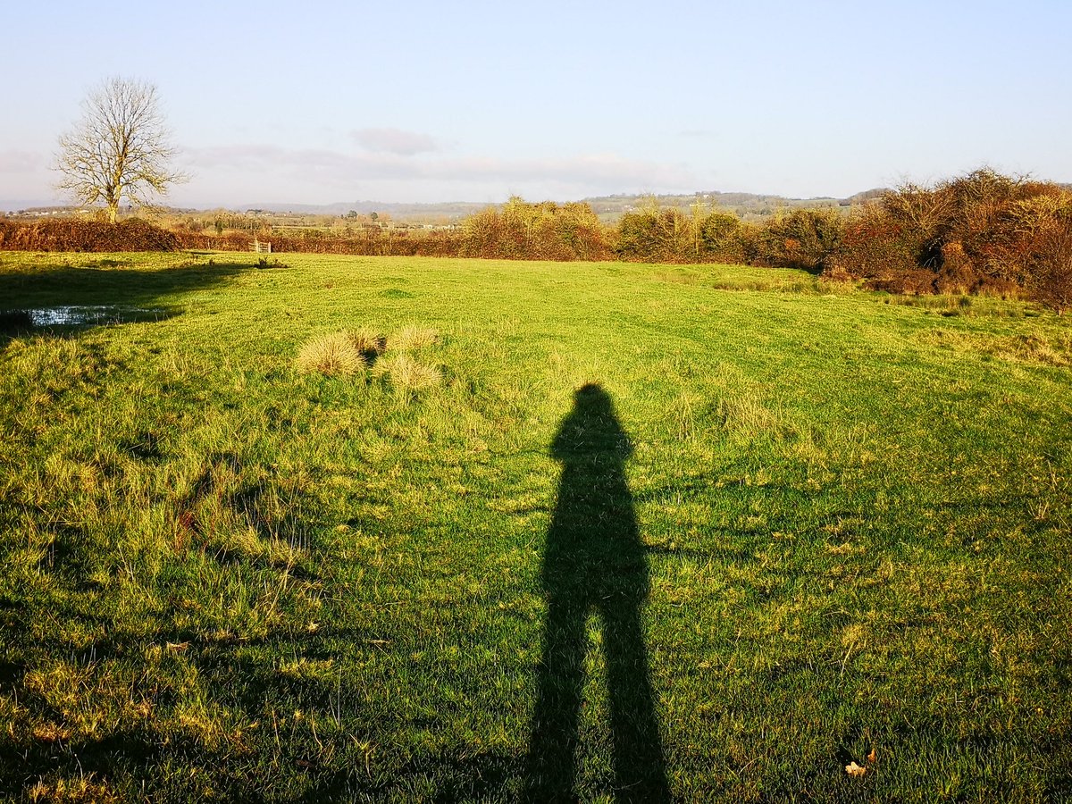 Soulgirl999's tweet photo. Can't beat a lunchtime dog walk - but where's the dog?! #Cotswolds #AONB #luckytolivehere #onmydoorstep #workingfromhomeday #Wellbeing #Mindfulness #dogsoftwitter #dogs #dogslife 😍 https://t.co/VHYWMPNmMt