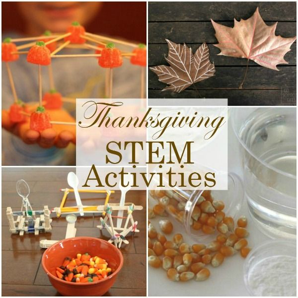 It's a long holiday weekend - how about some #STEM projects??
#Thanksgiving #kidsactivities #girlsinstem #homeschool #science
buff.ly/2J6hw1F