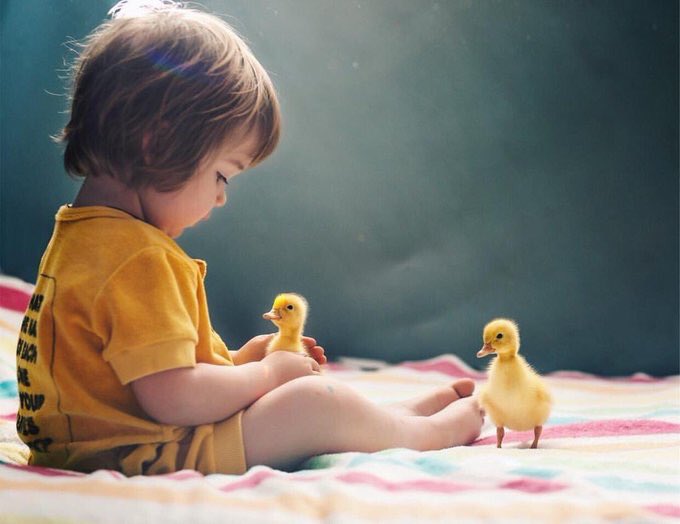 ���� ���� ������ �� ���� ������