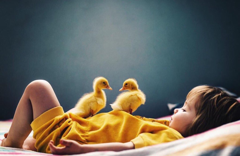 ���� ���� ������ �� ���� ������