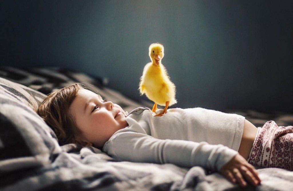 ���� ���� ������ �� ���� ������