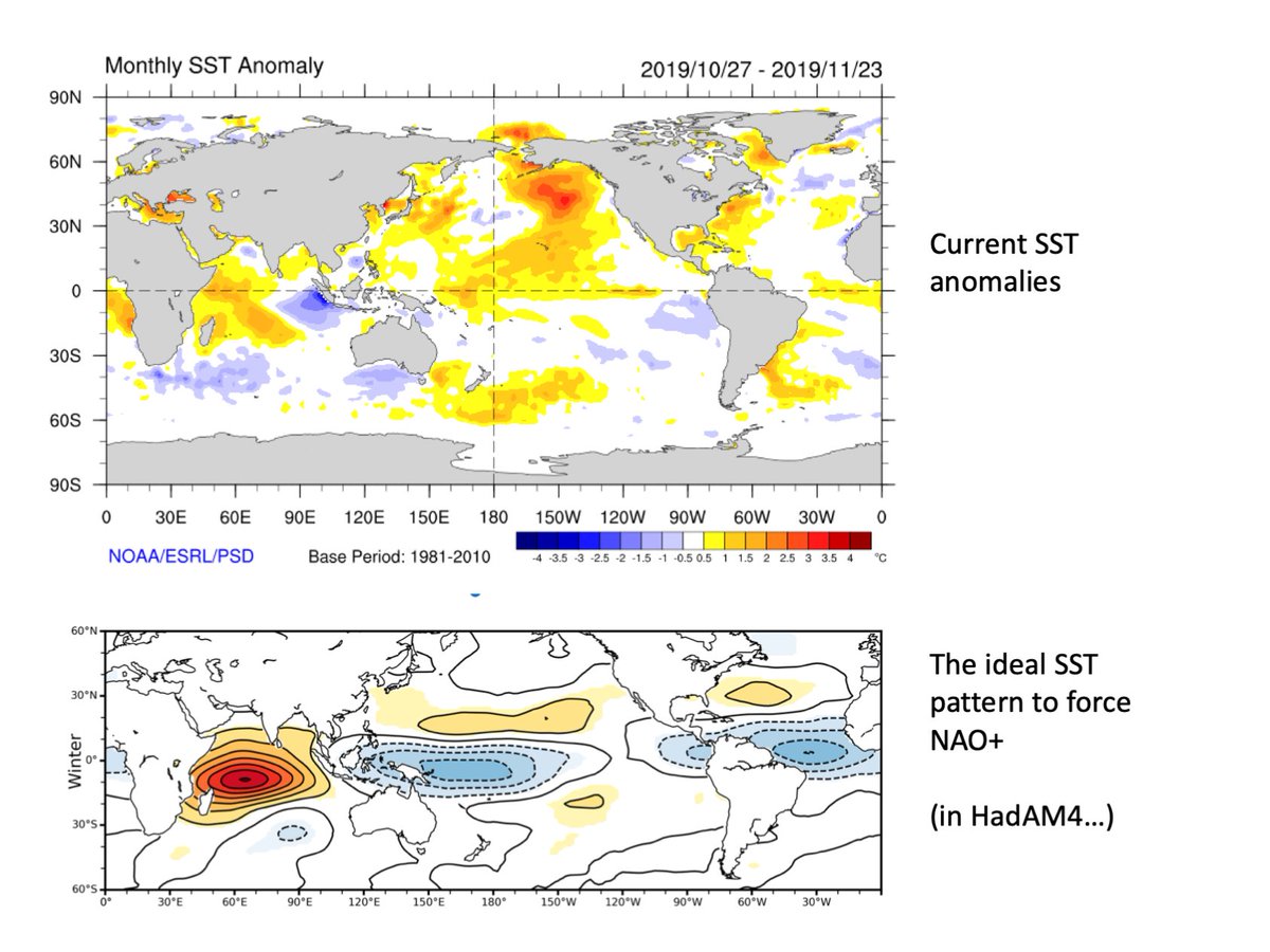 Could well be the SSTs. Pic is the current SST anomalies compared to our NAO sensitivity pattern ( https://doi.org/10.1175/JCLI-D-19-0038.1,  @HughScottBaker  @ChrisEForest). Warm subtropics in Pacific and Atlantic favour NAO+ (as does warm tropical Indian Ocean, though we don't get skill there)
