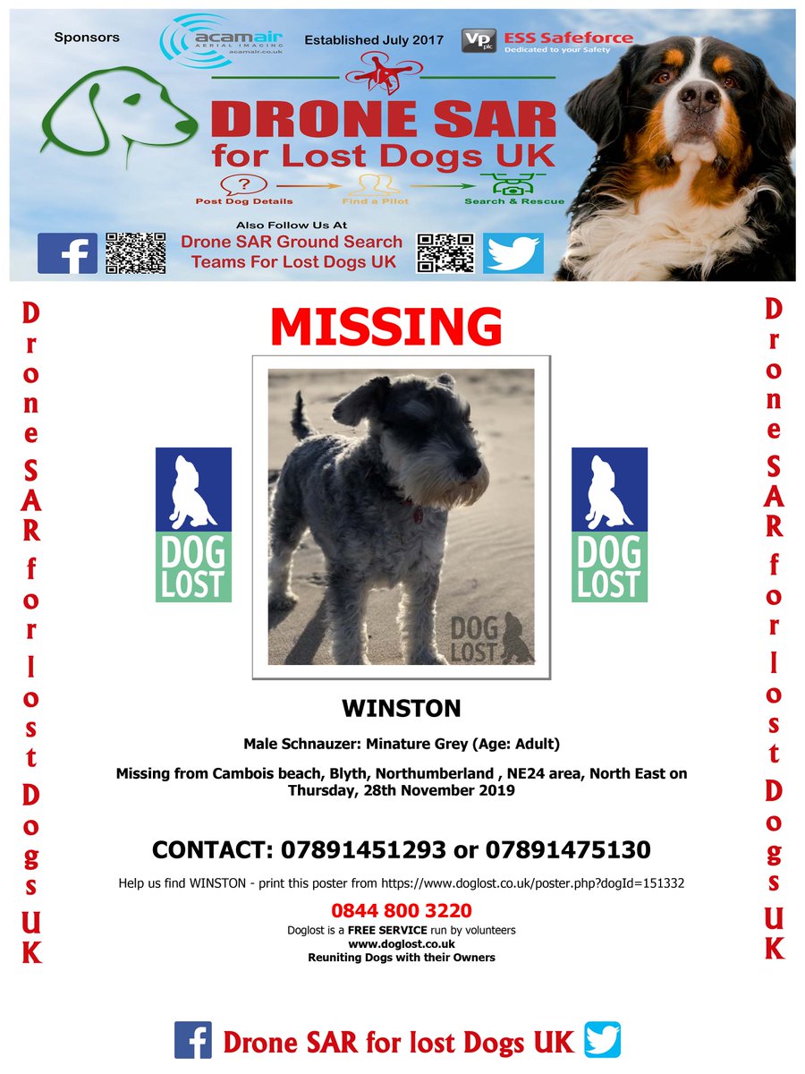 sar_dogs's tweet image. #LostDog #Alert WINSTON
Male Schnauzer: Minature Grey (Age: Adult)
Missing from Cambois beach, Blyth, Northumberland , NE24 area, North East on Thursday, 28th November 2019  #DroneSAR  #MissingDog