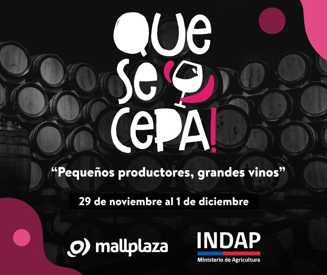 reebok mall marina arauco