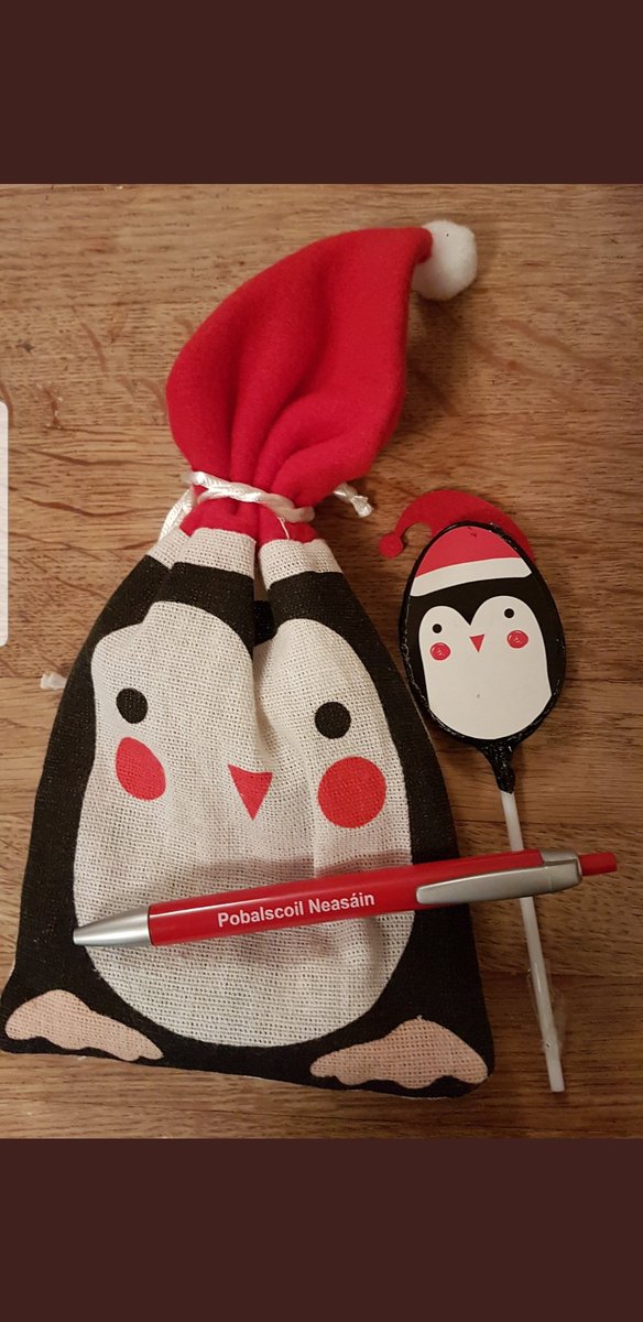 PSNeasain's tweet image. Oisín M from class 10 was delighted to &apos;model&apos; alongside PSNguin with the prize his mother won for the Guess the Planets competition for #ScienceWeek2019