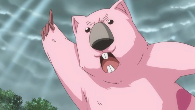 11月30日はウォンバットの誕生日のtwitterイラスト検索結果