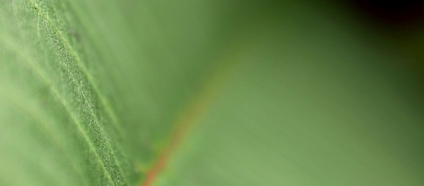| CRISE ÉCOLOGIQUE |
"Les crises vues des espaces ruraux : le système agroalimentaire et la valeur de la #biodiversité" Quatrième séance du séminaire Mutations du capital ? #Nature et valeur dans la #crise écologique
📅 18 décembre | 18h
bit.ly/35KOJKb