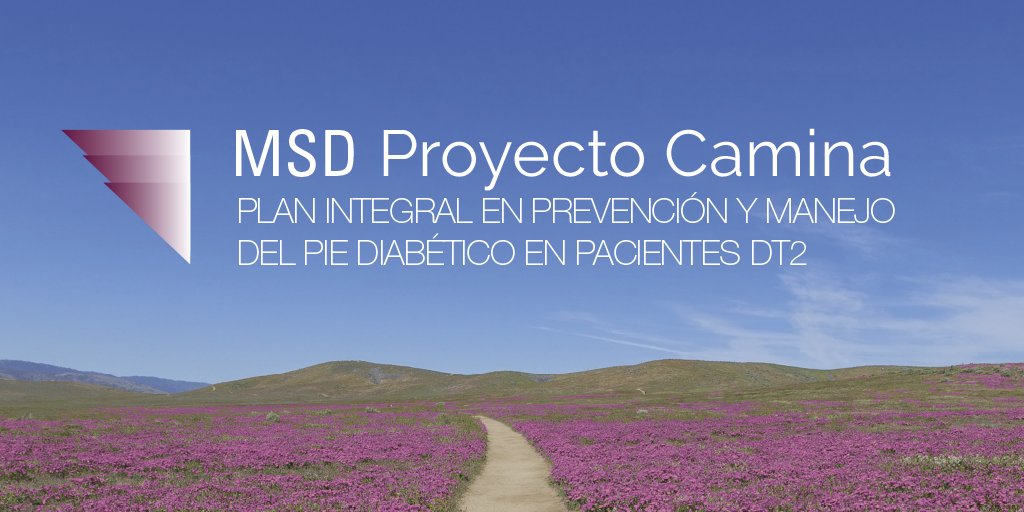 msd_es's tweet photo. #Diabetes Proyectos que aportan valor, que marcan la diferencia. #ProyectoCAMINA #CAD #ProyectoMiRA.
Más información en https://t.co/93g5o1js79
#MovimientoDiabetes
#JuntosHaciaElFuturo
#FocusonA1c https://t.co/9LtOCkbu6s