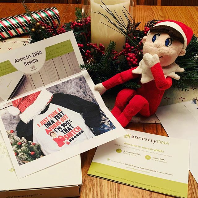 johnnyg_1's tweet image. Someone may have made a cameo last night/today. #elfontheshelf #datbitch #ancestrydna ift.tt/2QYmO5s